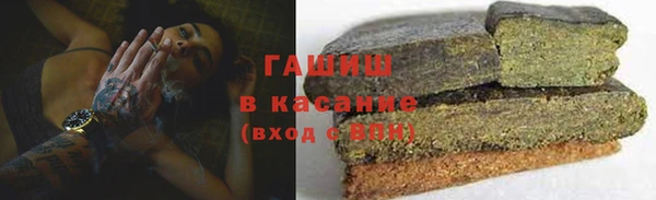 гидра Ахтубинск